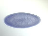RE15719