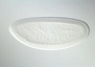GH11459-dg