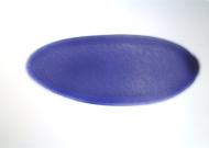 LD27857-dg