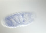 SD01727