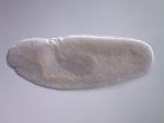 FI06460