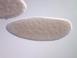 FI08040