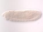 IP01905