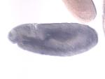 IP12320