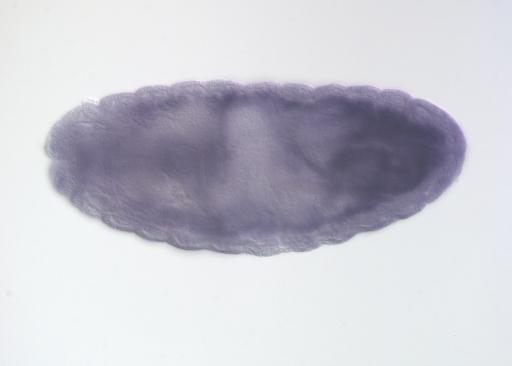 RH10980