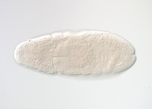 GH25417