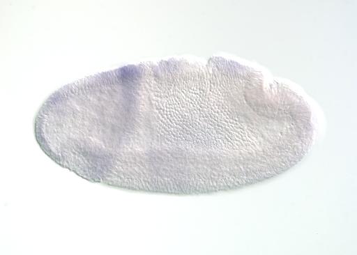 LP17455