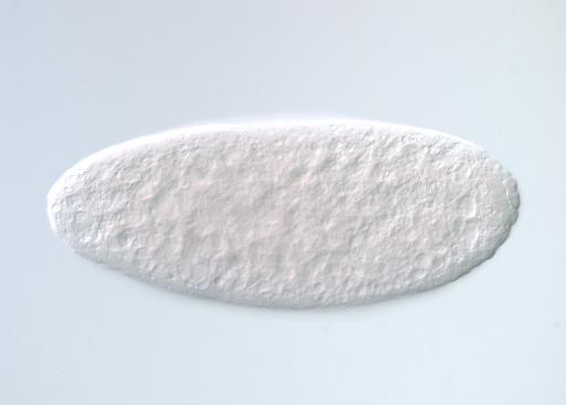 IP12305