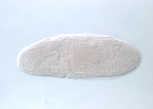 IP19912