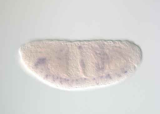 IP02207