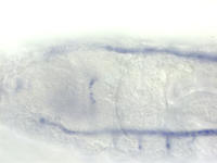 RE18101