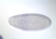 SD02282-dg